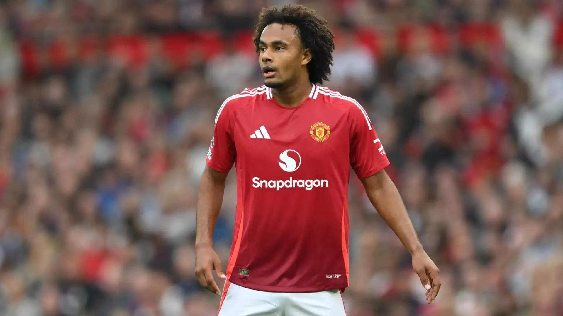 Agen Zirkzee Dikecam, MU Dianggap Klub Berantakan